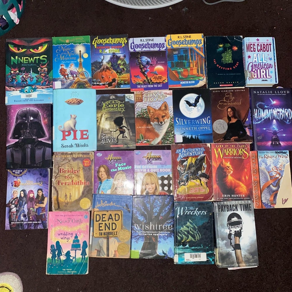 Chapter books in very good shape